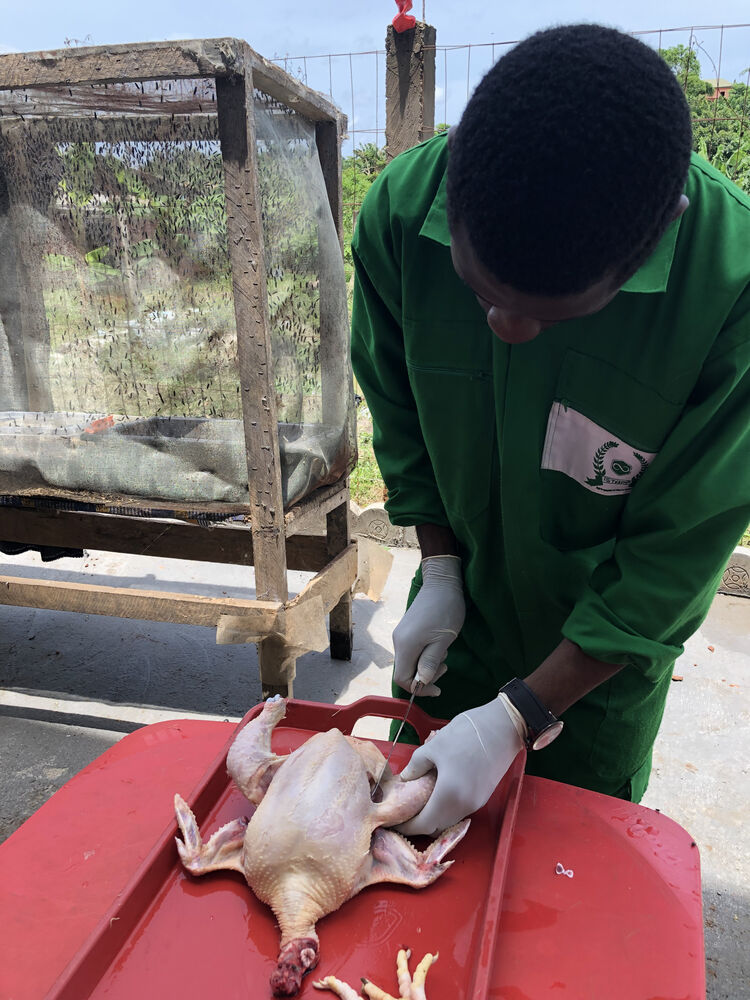 Vie étudiante ISTAPA