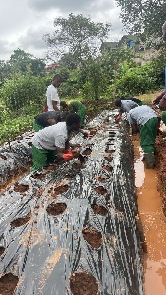 Gestion Forestière