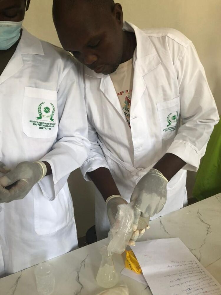 Travaux pratiques en laboratoire